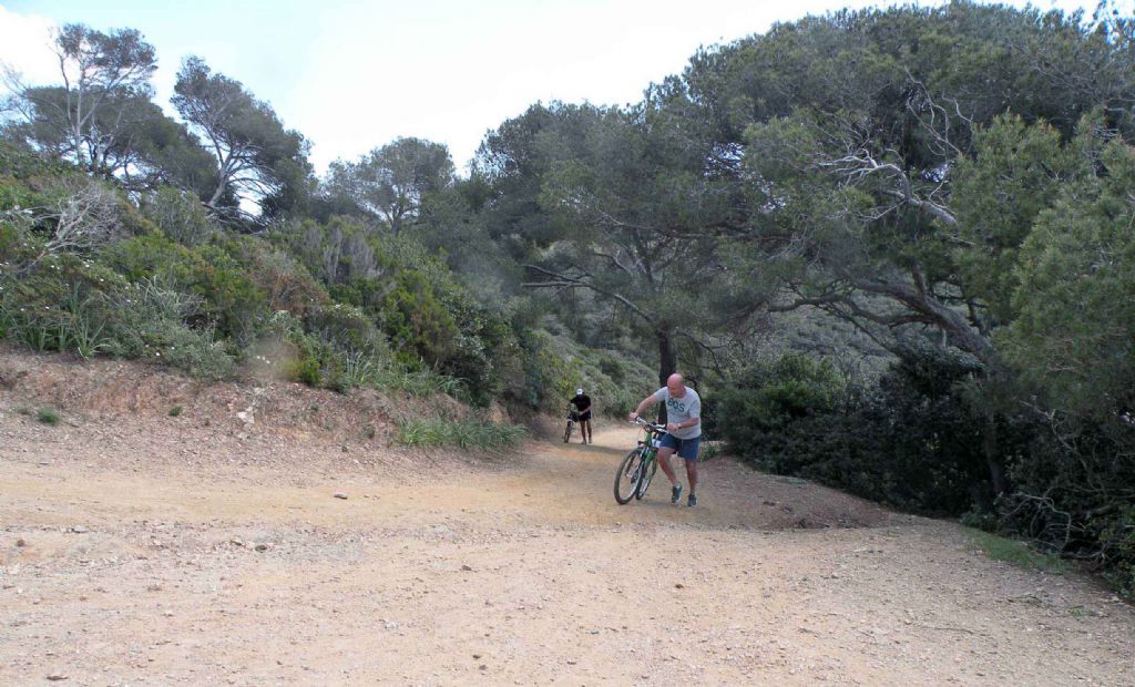 Porquerolles, Parco Nazionale di Port-Cros, Francia